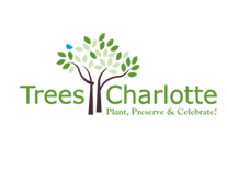 LogoTreesClt